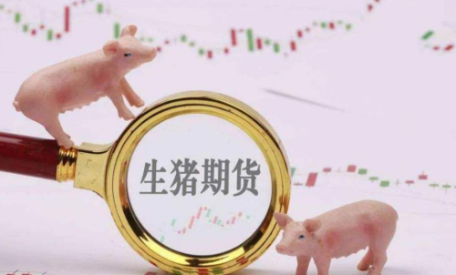 生豬期貨未來走勢將會(huì)如何？生豬期